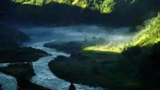 燃烧吧大脑装瓶子游戏