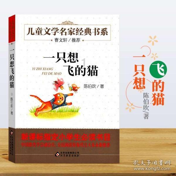 同色彩相撞