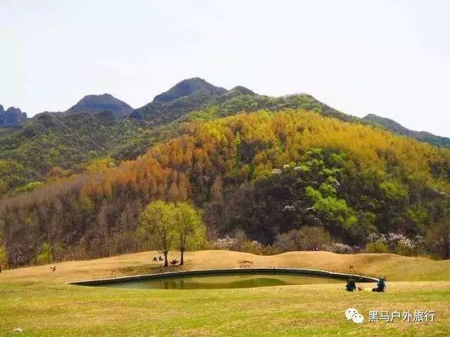 过年回家,同学聚会,月薪两千的保安同学拿出了三千块的五粮液生肖酒