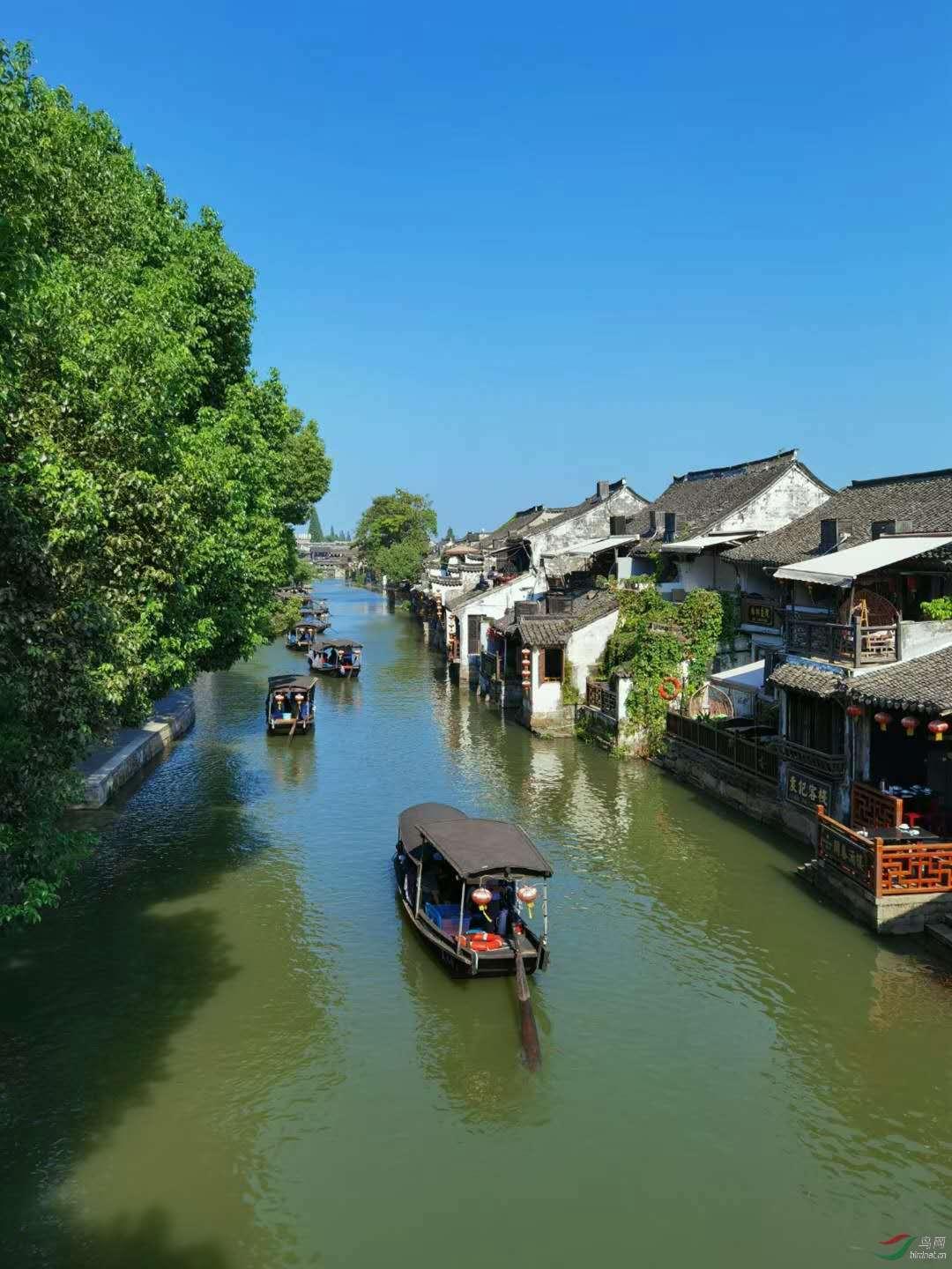 逗小猴开心系列204